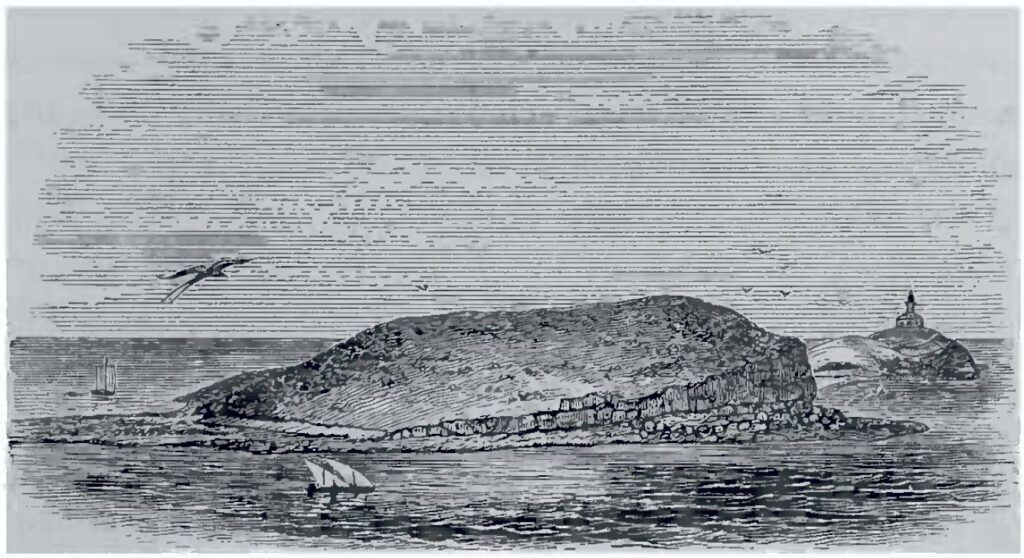 Ilha de Santa Bárbara, Abrolhos, em ilustração de Hartt (1870)