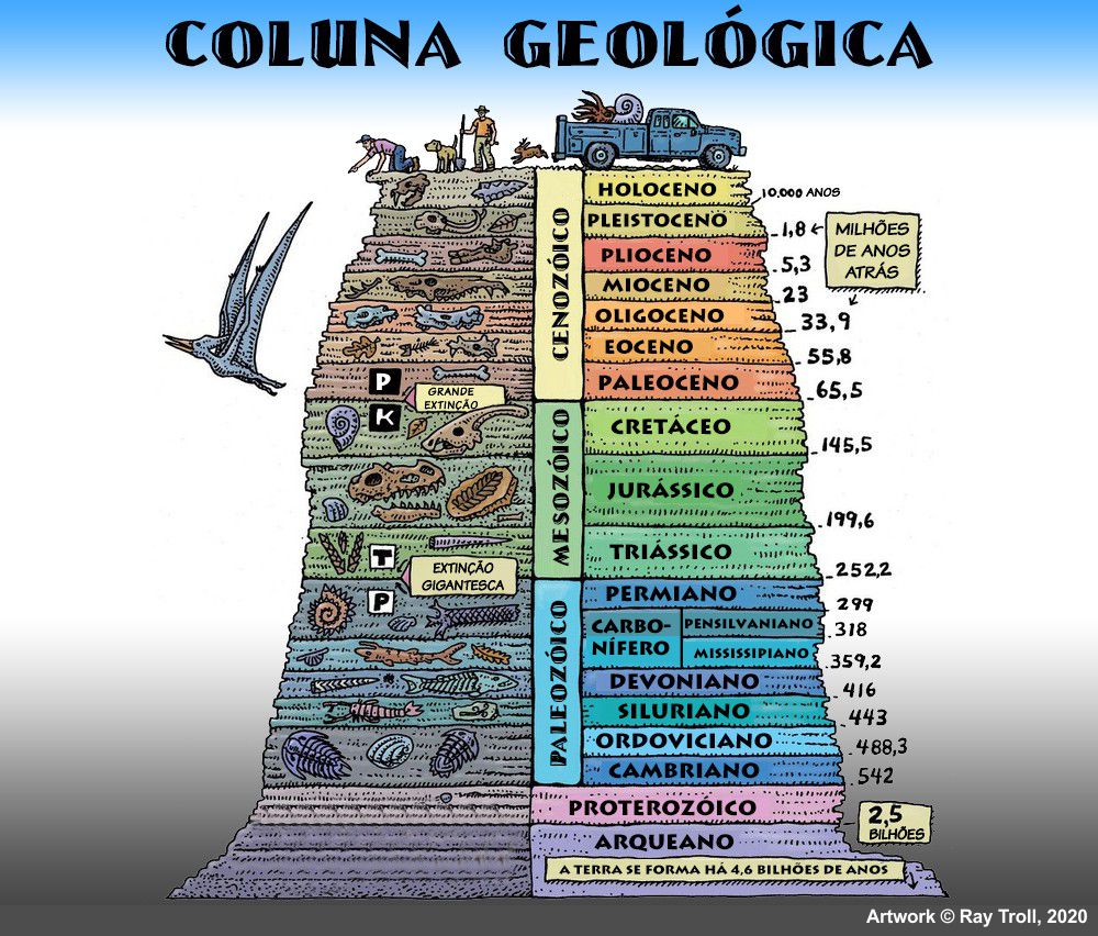 Os fósseis e os períodos geológicos – Fundação Paleontológica Phoenix