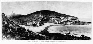 Hartt,1877 - Ilha de Santa Bárbara, Abrolhos, Bahia