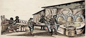 Piso, 1648 - Uso da mandioca