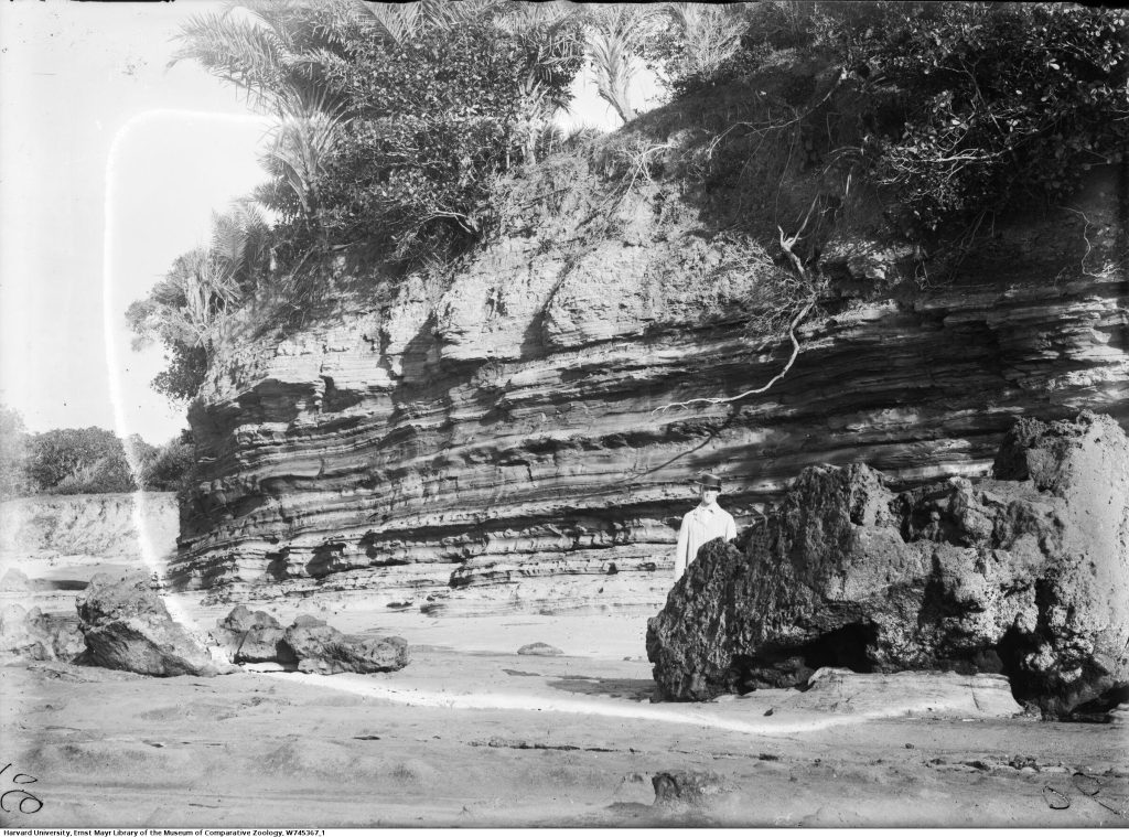 Praia de Morro do Camaragibe - fotografia de Branner, ca. 1875.